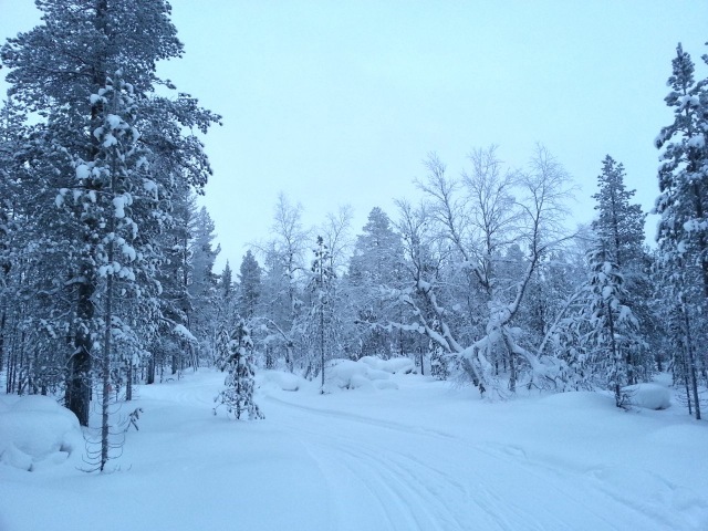 Ski de fond